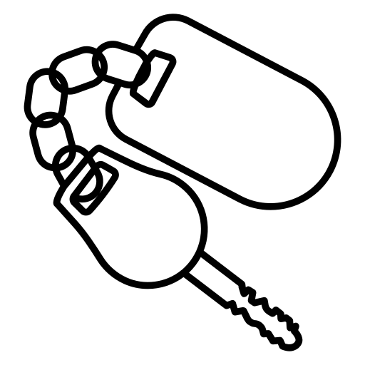car access