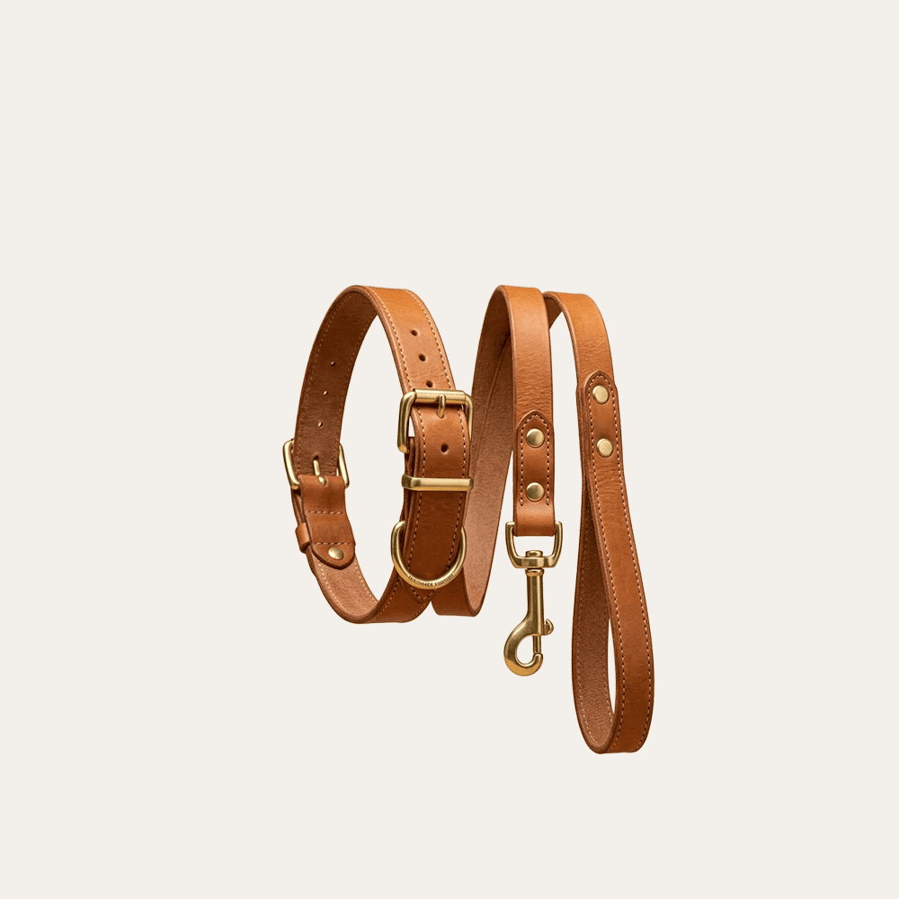 premium leather dog leash and collar